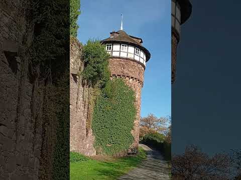 Видео: В гостях у " сказки"!...( В замке Рапунцель- Трендельбург/ Г е с с е н)