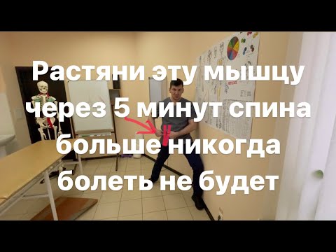 Видео: Эту мышцу растяни через 5 минут спина болеть не будет никогда больше