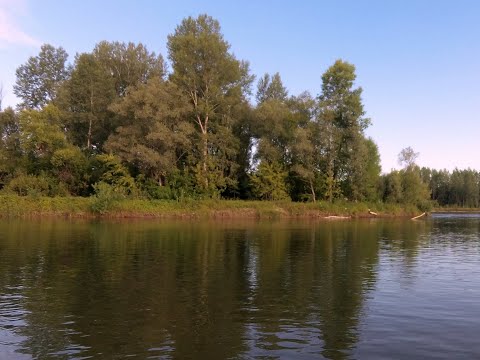 Видео: НАШЁЛ СТАЮ ЩУК ПОД БЕРЕГОМ !!БЕШЕНЫЙ КЛЁВ НА ДЖИГ !!! Июль 2020