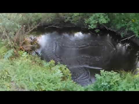 Видео: Кастинговая сеть на деревенской речке.