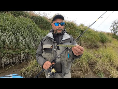 Видео: ЩУКИ МОНСТРЫ КИДАЮТСЯ НА СПИННИНГ. ЧУКОТКА