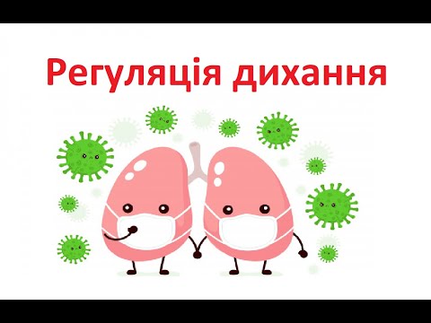 Видео: Регуляція дихання.  Профілактика захворювань дихальної системи