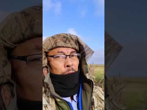 Видео: 30/10/2025. Эксперимент. Охота на гусей в степи, а не на поле.