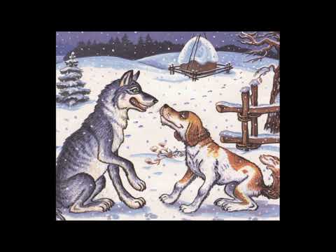 Видео: Аудиосказка . "Сабака і воўк"