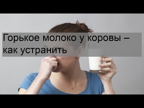 Видео: Горькое молоко у коровы – как устранить