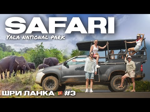 Видео: 🇱🇰 #3 | ОПАСНО БЛИЗКИ..🐘🐊🐆