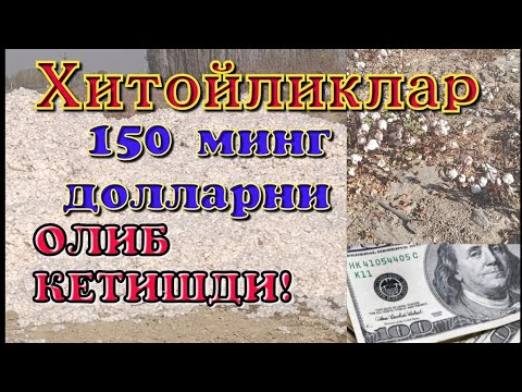 Видео: ТОМЧИЛАТИБ СУГОРИШ УСУЛИДА 150 МИНГ ДОЛЛАР ТОПИШ!