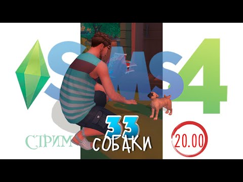 Видео: 33 СОБАКИ: запись стрима #13 #sims4