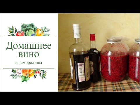 Видео: Как приготовить домашнее вино из смородины. Не пожалеете!