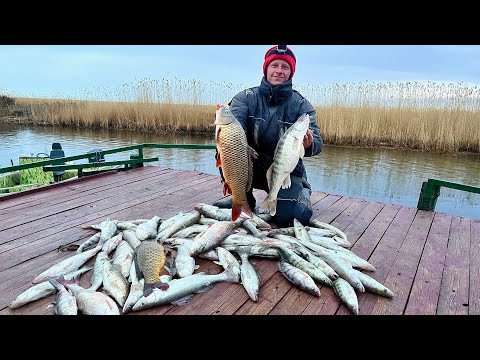 Видео: РУКИ в КРОВЬ, а спиннинги В ДУГУ! СУМАСШЕДШАЯ РЫБАЛКА НА Балхаше 2023! Ловля ХИЩНИКА!