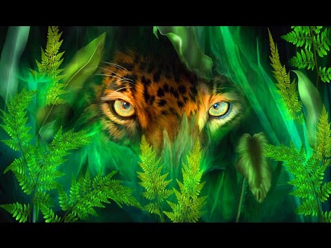 Видео: Сеанс с энергией "Женский Эликсир Сила Леопарда"