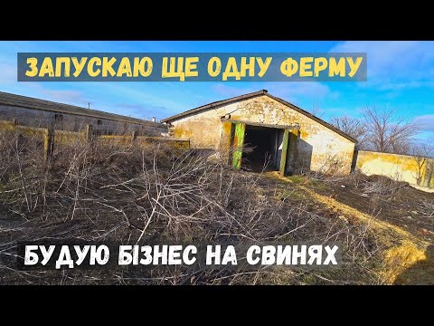 Видео: ❗ Реконструкція старої ферми під свиноматок 🏗️ Прибираю та планую як розмістити