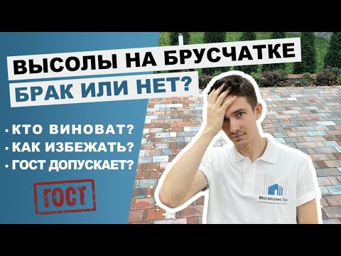 Видео: Высолы на тротуарной плитке брак или нет?