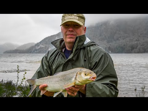 Видео: ФИДЕР В АЛЬПАХ. АВСТРИЯ