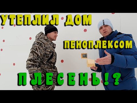 Видео: Утеплил пеноплексом. Утеплитель. Утеплитель стен. Дешевый дом. Плесень за пеноплексом. Дом.