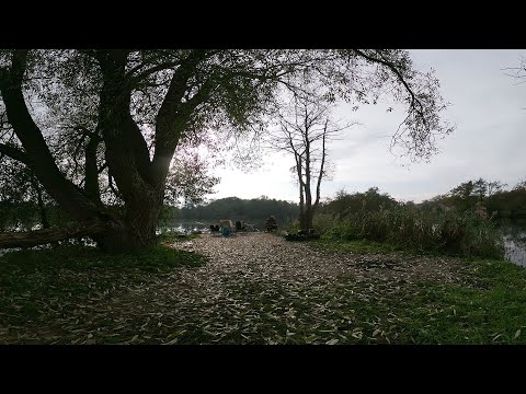 Видео: (Angeln in Frankreich) Выехали на один день на фидер. Проверили новое место. Река Мозель, Франция.