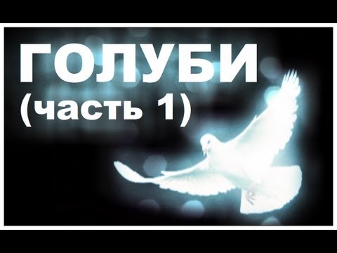 Видео: Галилео. Голуби (часть 1)