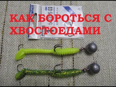 Видео: Как бороться с хвостоедами