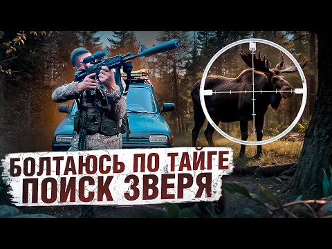 Видео: НАДО ЗАКРЫТЬ ЛИЦЕНЗИЮ ПО ЛОСЮ // БОЛТАЮСЬ ПО ТАЙГЕ