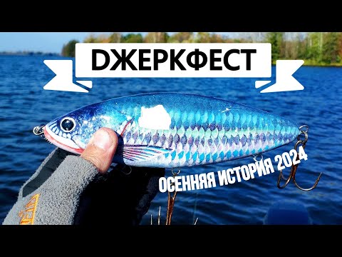 Видео: ПРАЗДНИК ДЖЕРКБЕЙТА! ДЖЕРКФЕСТ 2024! Ловля щуки ТОЛЬКО на ДЖЕРКИ! Одна осенняя история...