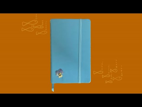 Видео: обзор на французский скетчбук №6
