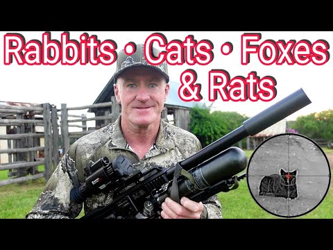 Видео: У меня была «ОТЛИЧНАЯ НОЧЬ» с ПНЕВМАТИЧЕСКОЙ ВИНТОВКОЙ