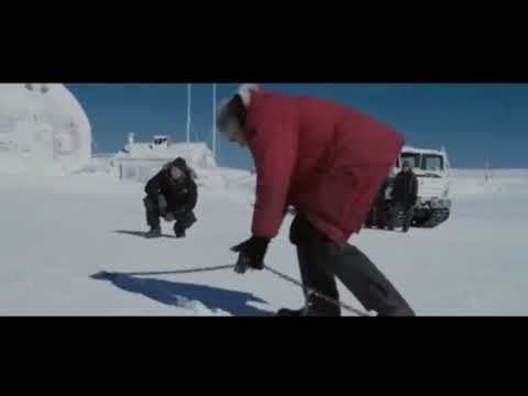 Видео: Хаски Белый Плен