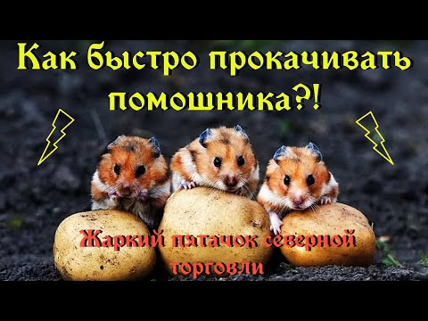 Видео: ArcheAge 6.5. Быстрая прокачка помощника! Результат экспериментов. Жаркий пятачок северной торговли.