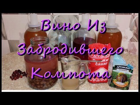 Видео: Как Сделать Домашнее Вино Из Забродившего Компота