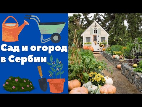 Видео: В саду у сербов || Уроки сербского языка