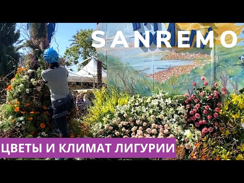 Видео: САМЫЙ ЛУЧШИЙ В МИРЕ ПАРАД