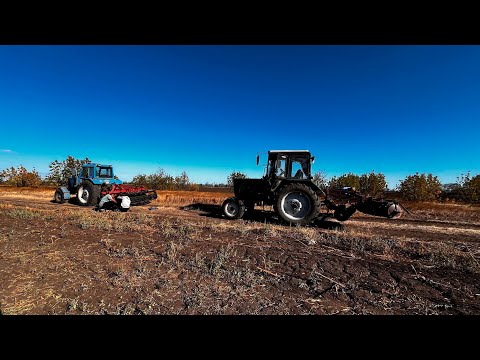 Видео: Мульчер не пошел,пробуем дискувать! Убираем не ахти подсолнечник комбайном ЕНИСЕЙ 1200.1
