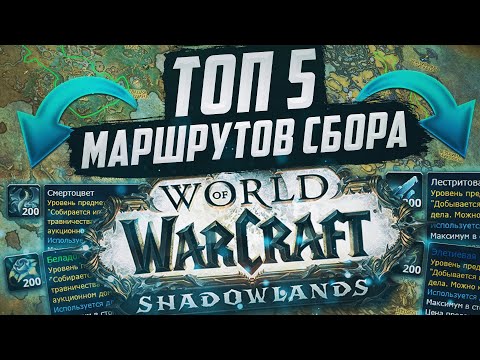 Видео: Лучшие маршруты сбора всей травы и руды в WoW Shadowlands 9.0.2 | Голдфарм от 20 000 золота в час