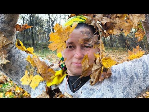 Видео: гарного дня друзі