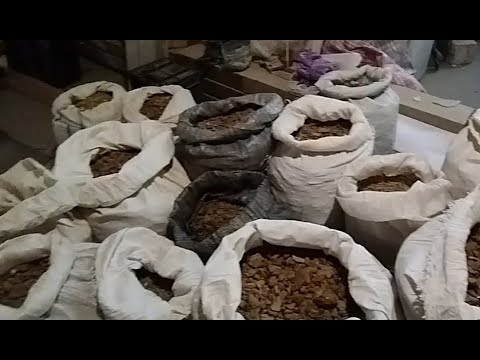 Видео: Ирина Волк: В Калининграде полицейские изъяли из незаконного оборота более 15 тонн янтаря