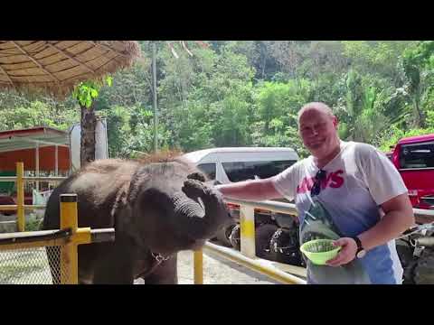 Видео: ШРИ ЛАНКА 2024, ЗАМЕТКИ ПУТЕШЕСТВЕННИКА И ПОЛЕЗНЫЕ СОВЕТЫ НОВИЧКАМ ПУТЕШЕСТВИЕ В СИГИРИЮ И ДАМБУЛЛУ