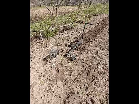 Видео: работа электролебедки,вспашка