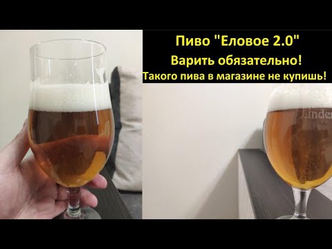 Видео: Варить обязательно! Пиво "Еловое 2.0". Такого пива в магазине вы точно не найдете!
