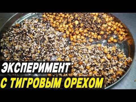 Видео: ПРИКОРМКА ДЛЯ КАРПА. Эксперимент на производстве LION BAITS. Розыгрыш призов!