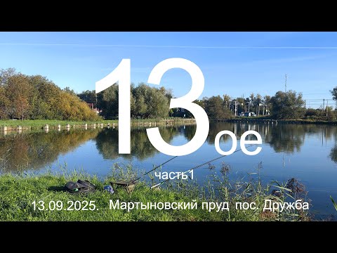 Видео: 13-е. Часть 1. Мартыновский пруд. пос. Дружба.  13.09.2025. Рыбалка в Подмосковье.