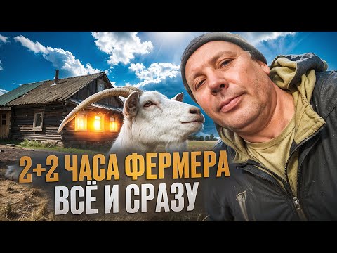 Видео: Как я все успеваю🤔💪🏽🕒️: 2+2 часа + полный обзор хозяйства в октябре🕰️🚜#МоеПодворье