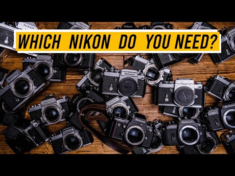 Видео: Какой Nikon вам подходит? Моя коллекция 35-мм объективов Nikon