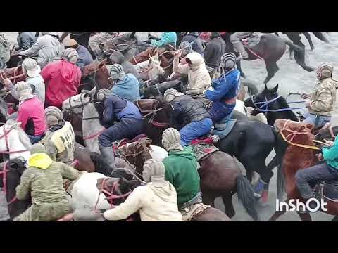 Видео: САБЗИХАРФ / БЕҲТАРИН МУСОБИКАИ БУЗКАШИ  ҚИСМИ 1 / ИДИБЕК ҒИЁСОВ