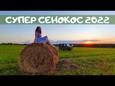 Видео: Супер сенокос 2022. Наши деревенские будни. Земляничное поле