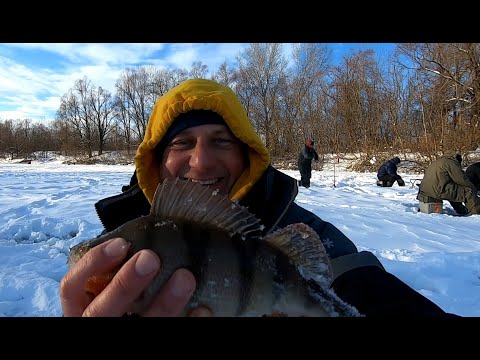 Видео: Зимняя рыбалка на Сейме. Поисковый окунь