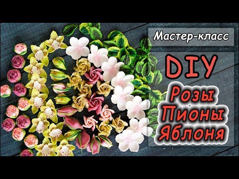 Видео: DIY ❤ РОЗЫ ❤ ПИОНЫ ❤ ЦВЕТЫ ЯБЛОНИ из полимерной глины ❤ Лепка мастер-классы