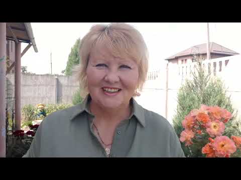 Видео: Когда лучше срезать лаванду на букеты. When is the best time to cut lavender into bouquets.