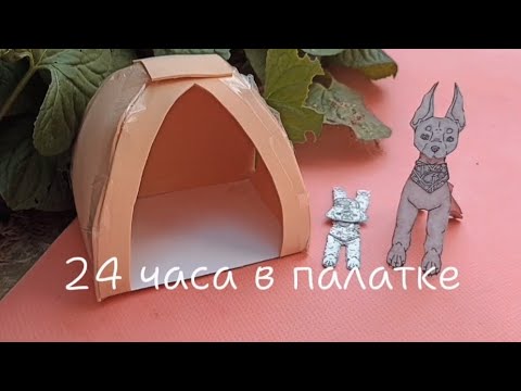 Видео: 🌼- 24 часа в палатке -💛+ Купание собак в бассейне🌞🌅