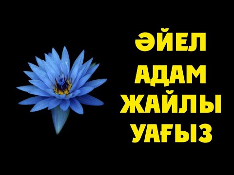 Видео: ӘЙЕЛ АДАМ ЖАЙЛЫ УАҒЫЗ