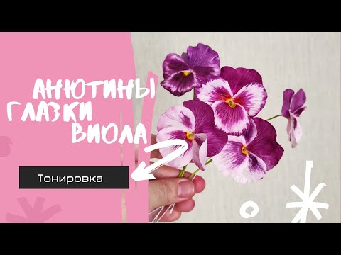 Видео: МК Виола/ Анютины глазки/фиалки